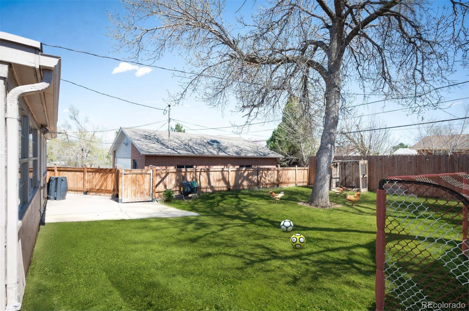 8266 Conifer Road