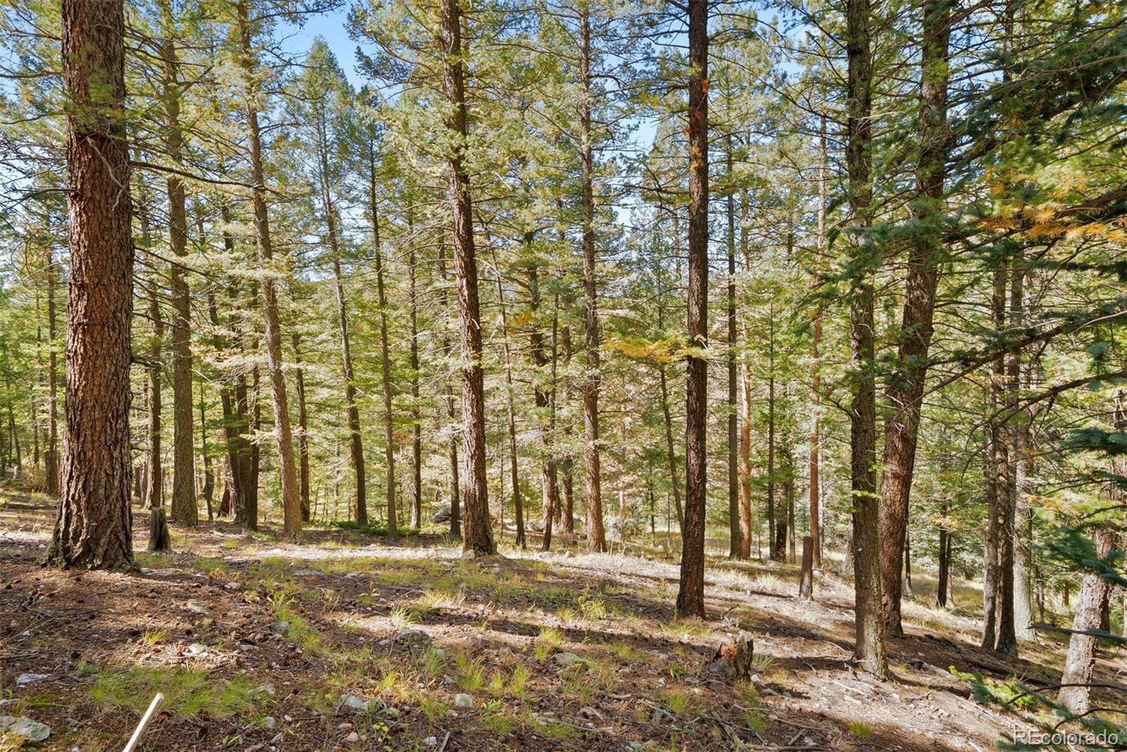 Lot 83 Conifer Drive