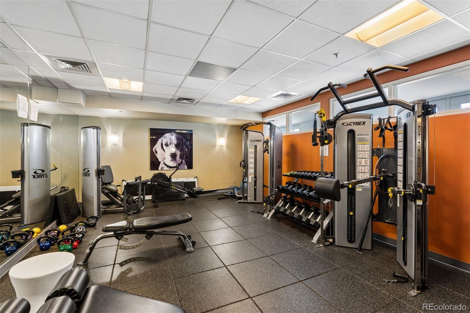 410 Acoma Street Unit: 305