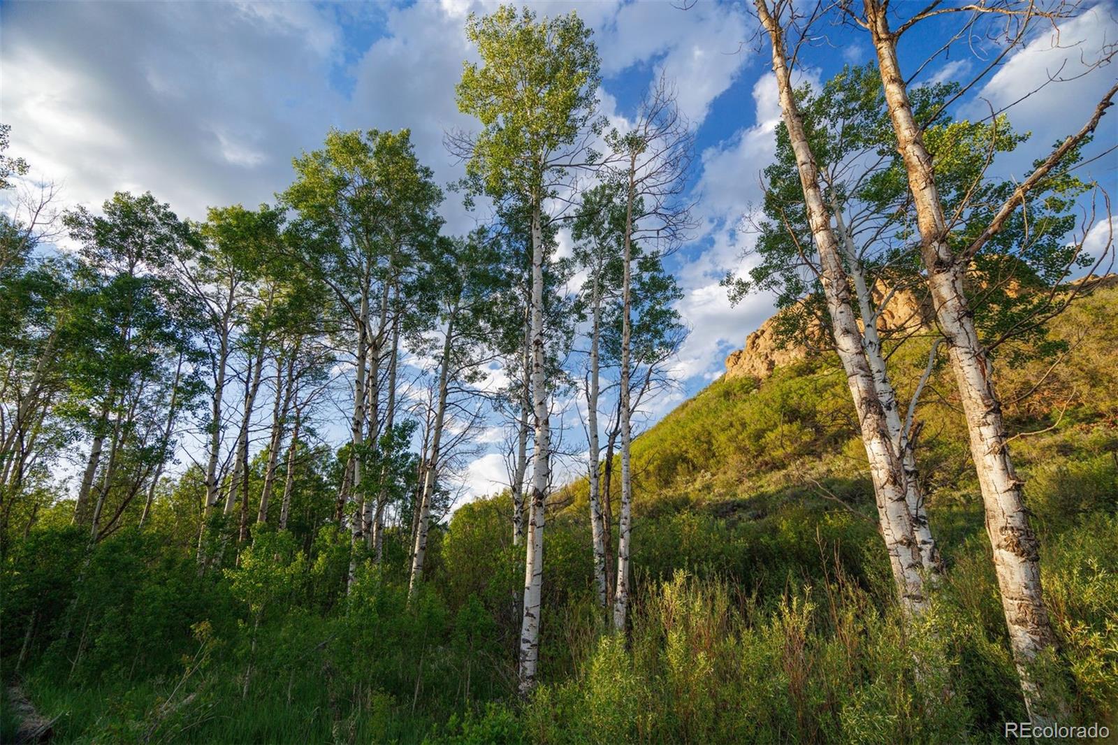 22090 County Road 212