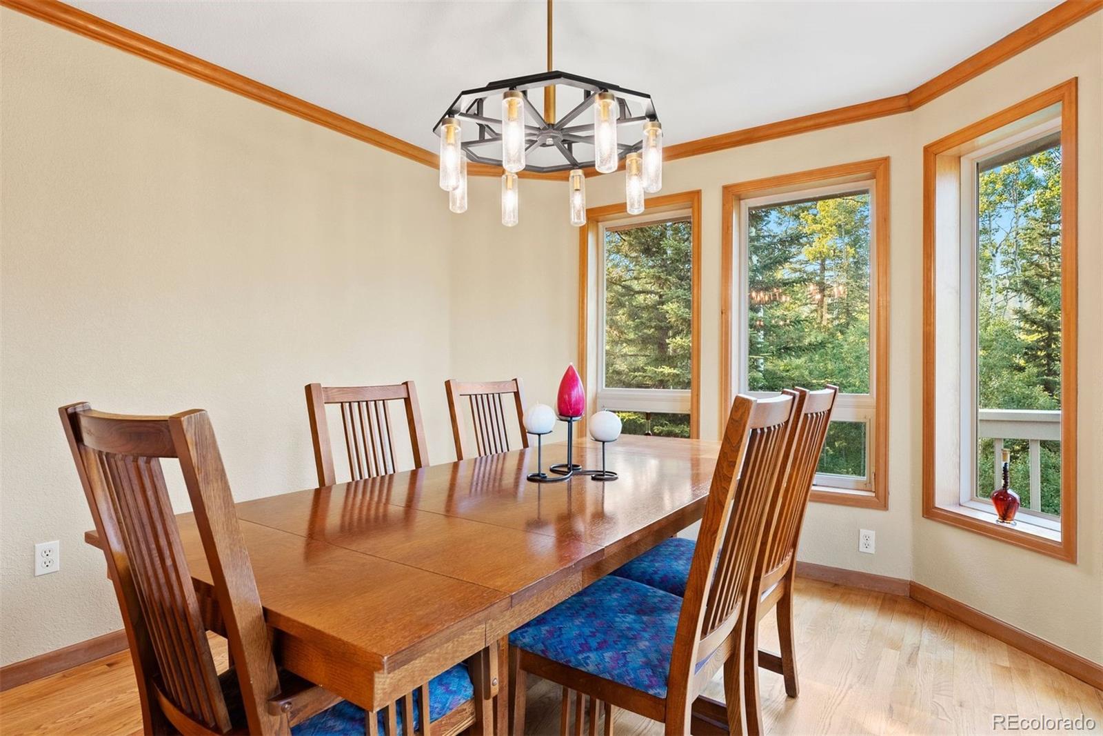 9948 S Turkey Creek Road