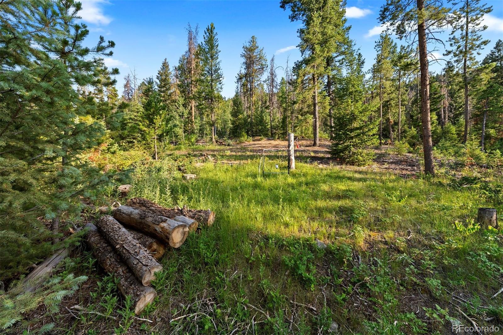 9948 S Turkey Creek Road