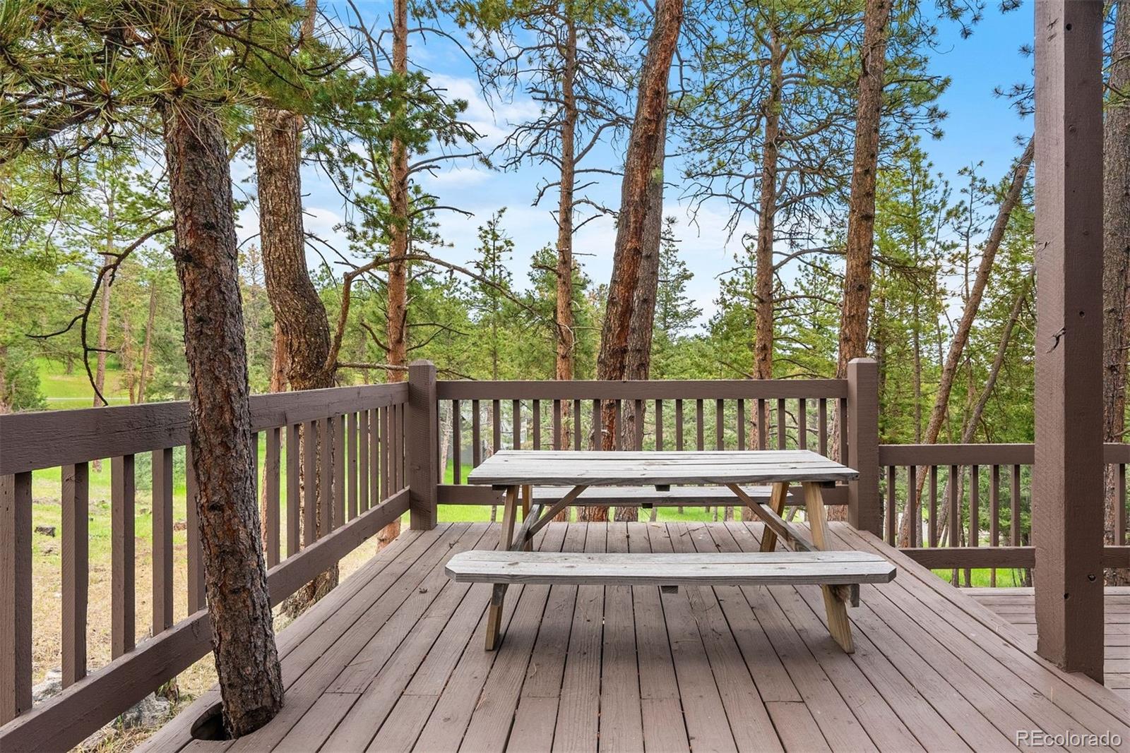 23599 Shingle Creek Road