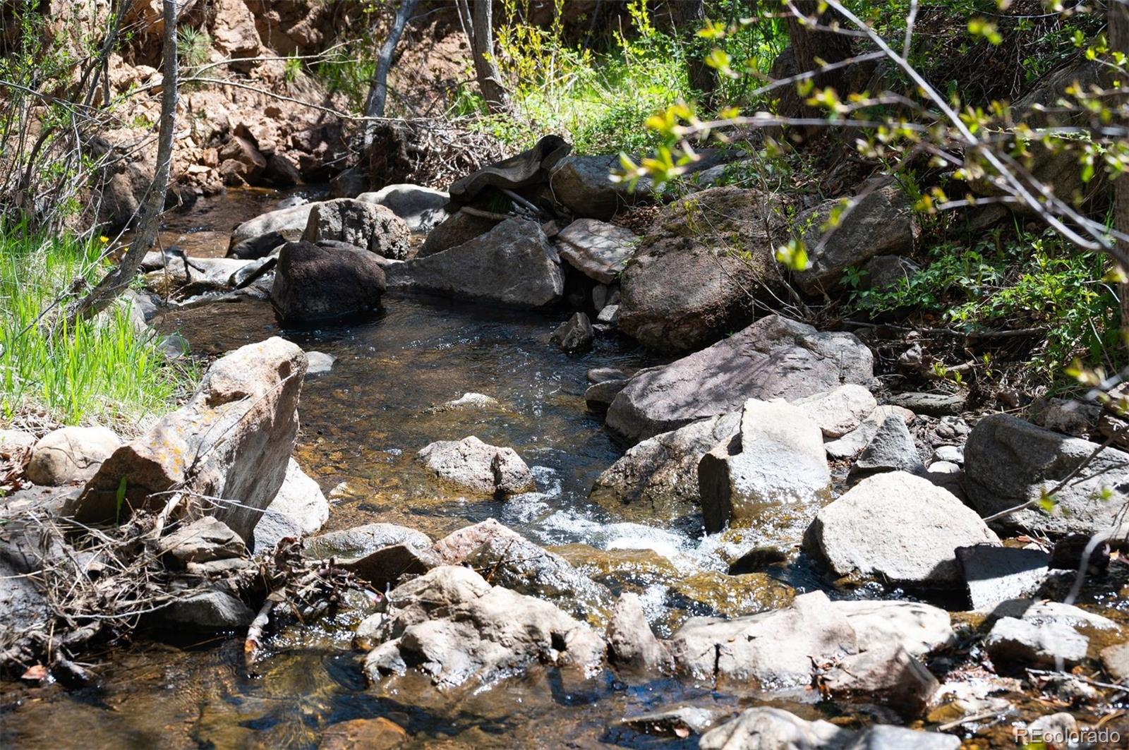 10049 S Turkey Creek Road