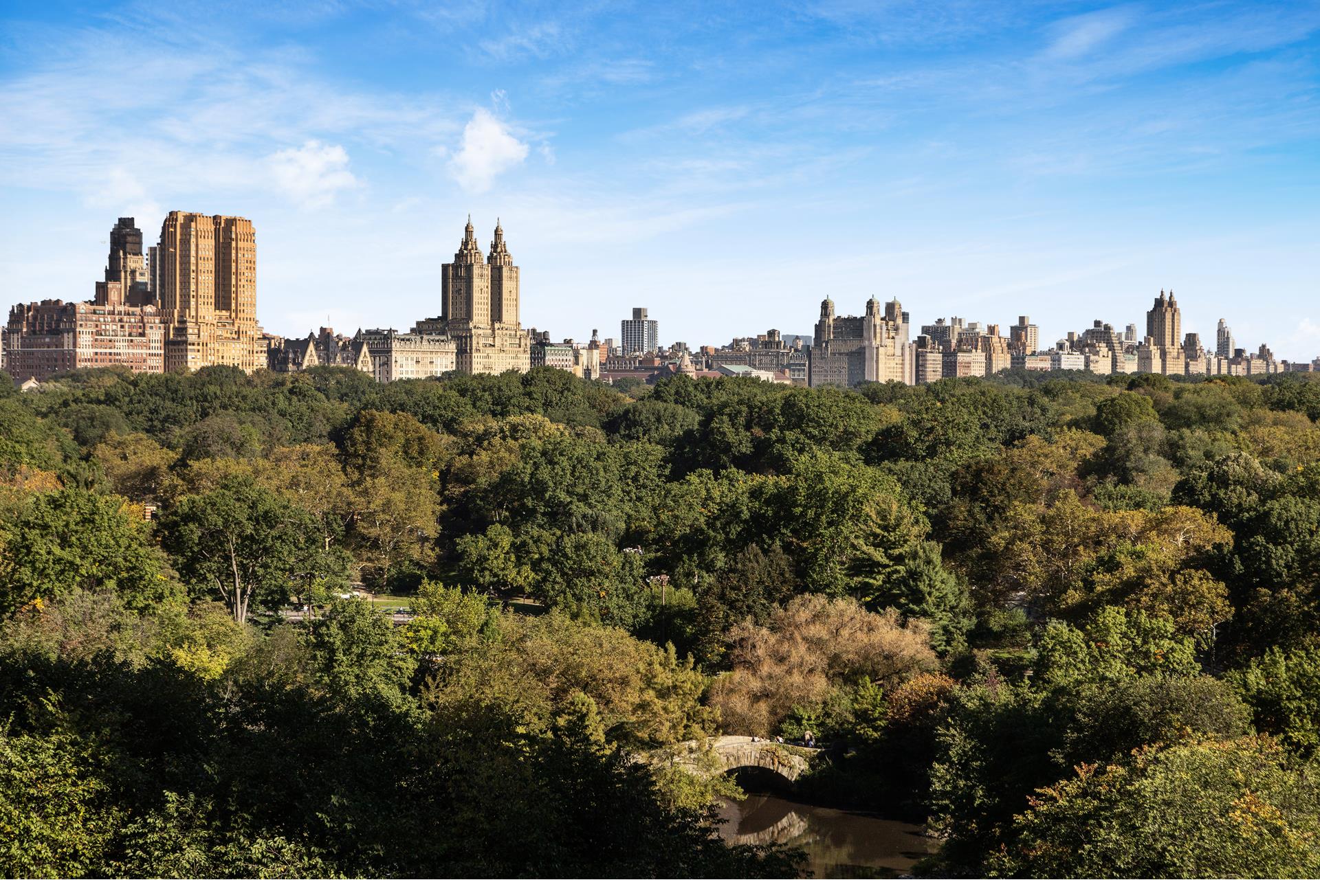 1 CENTRAL Park S 909