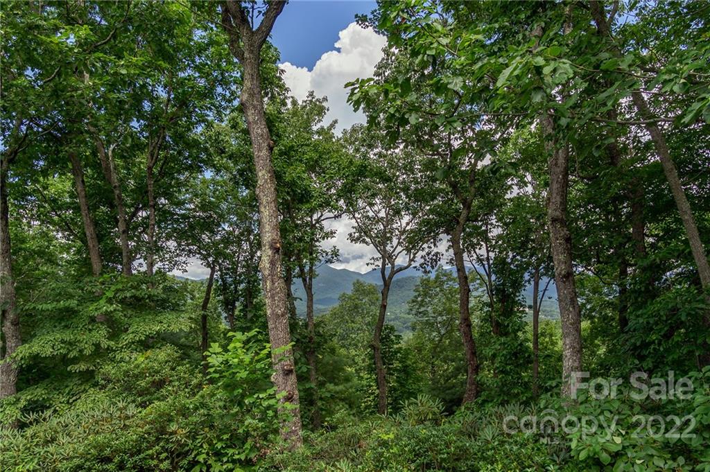 57 Last Resort Road Unit: Tract B, PO Lot 6