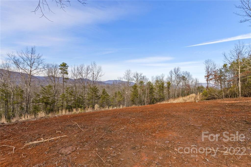 162 Fairfield Lane Unit: 1