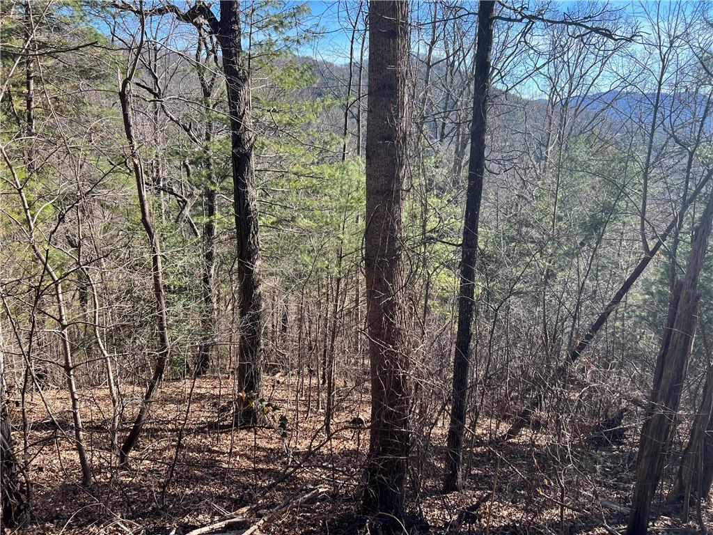 Lot 1 Vance Gap Road