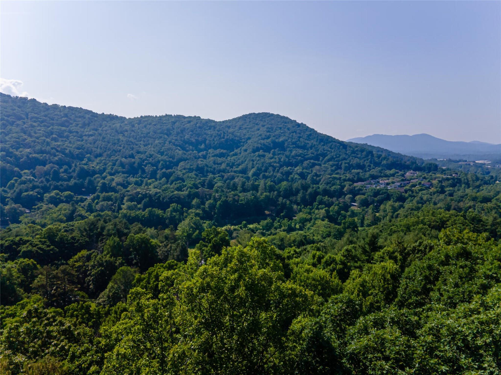 Lot 1 Vance Gap Road