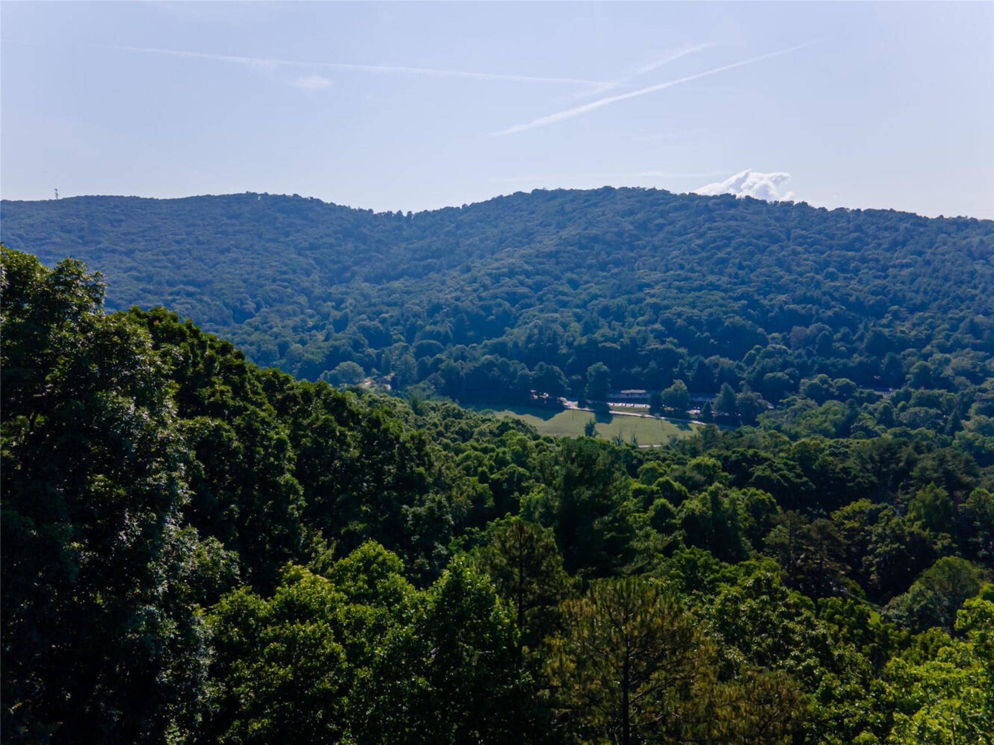Lot 1 Vance Gap Road