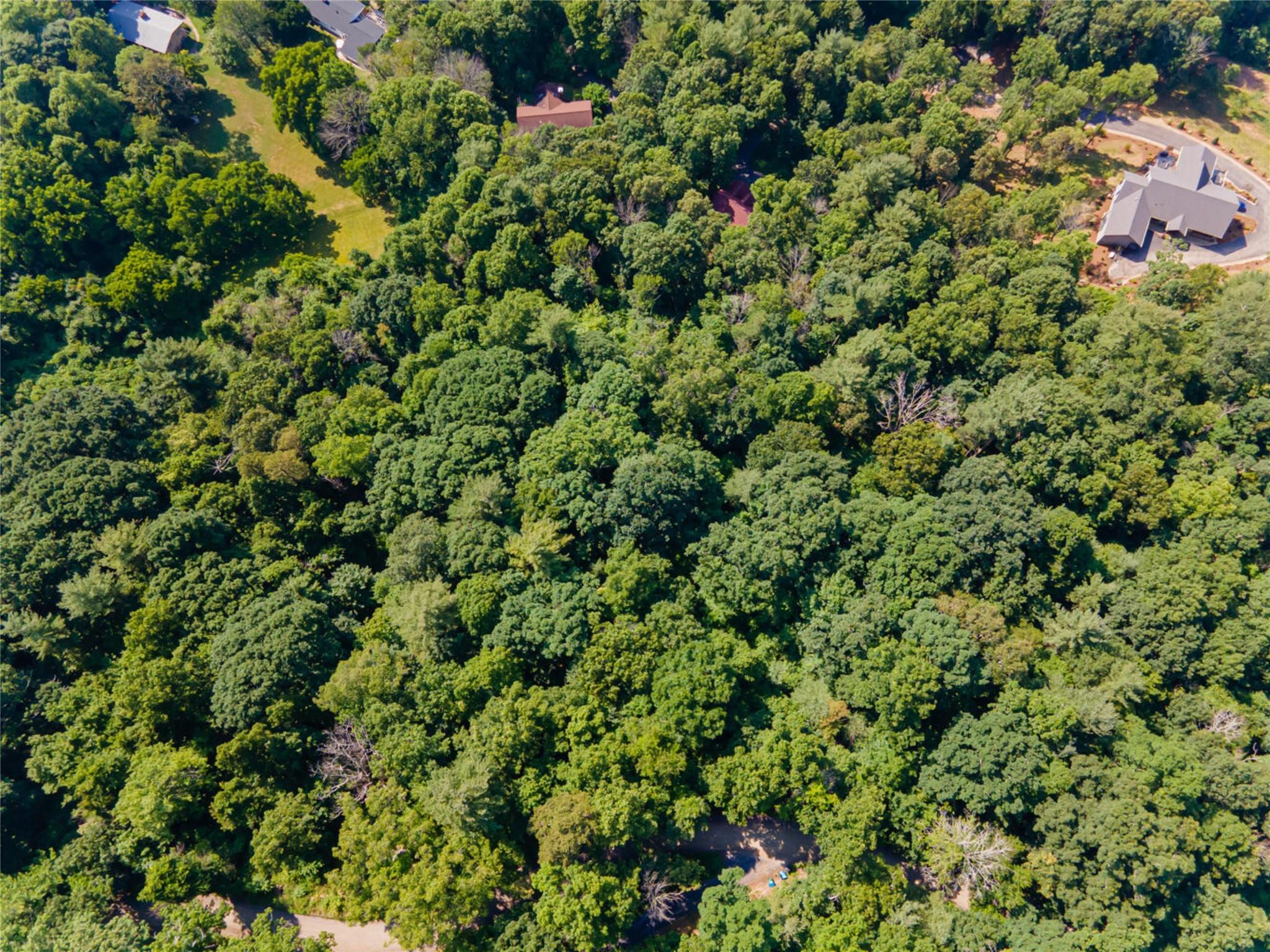 Lot 1 Vance Gap Road