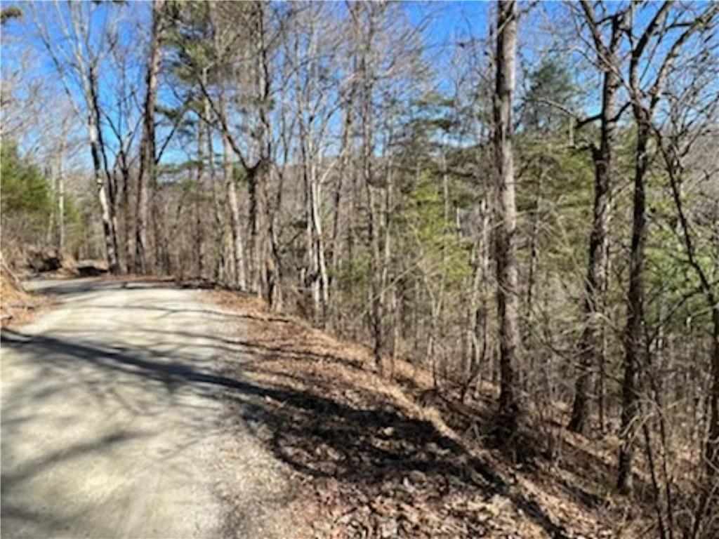 Lot 1 Vance Gap Road