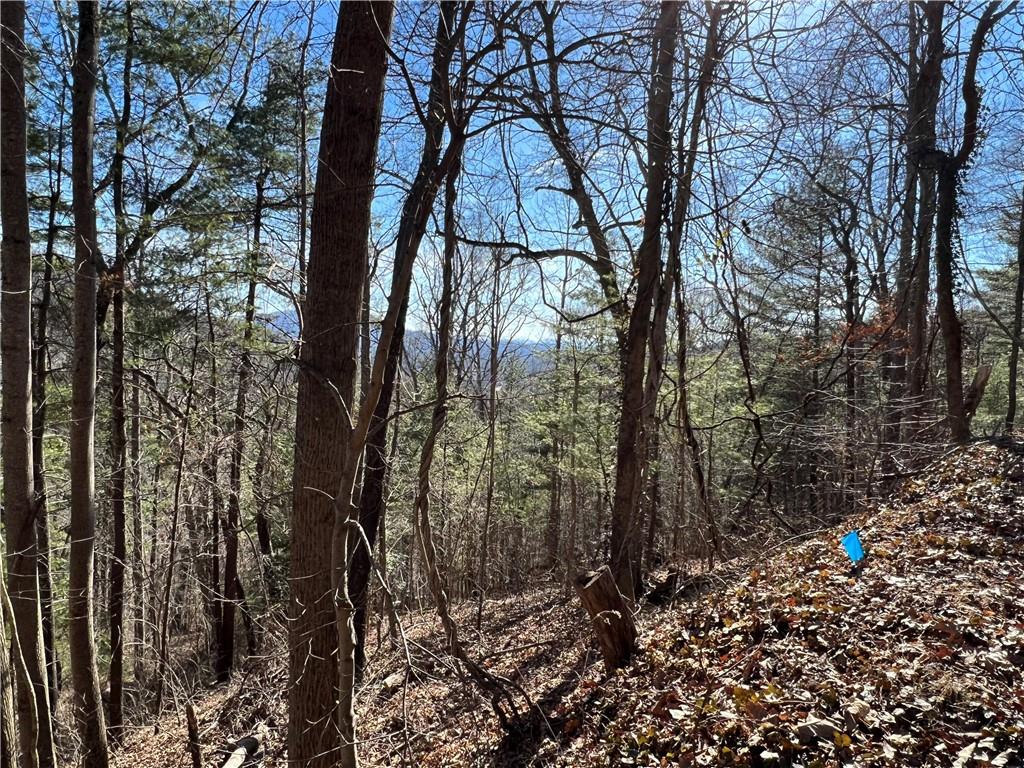 Lot 1 Vance Gap Road