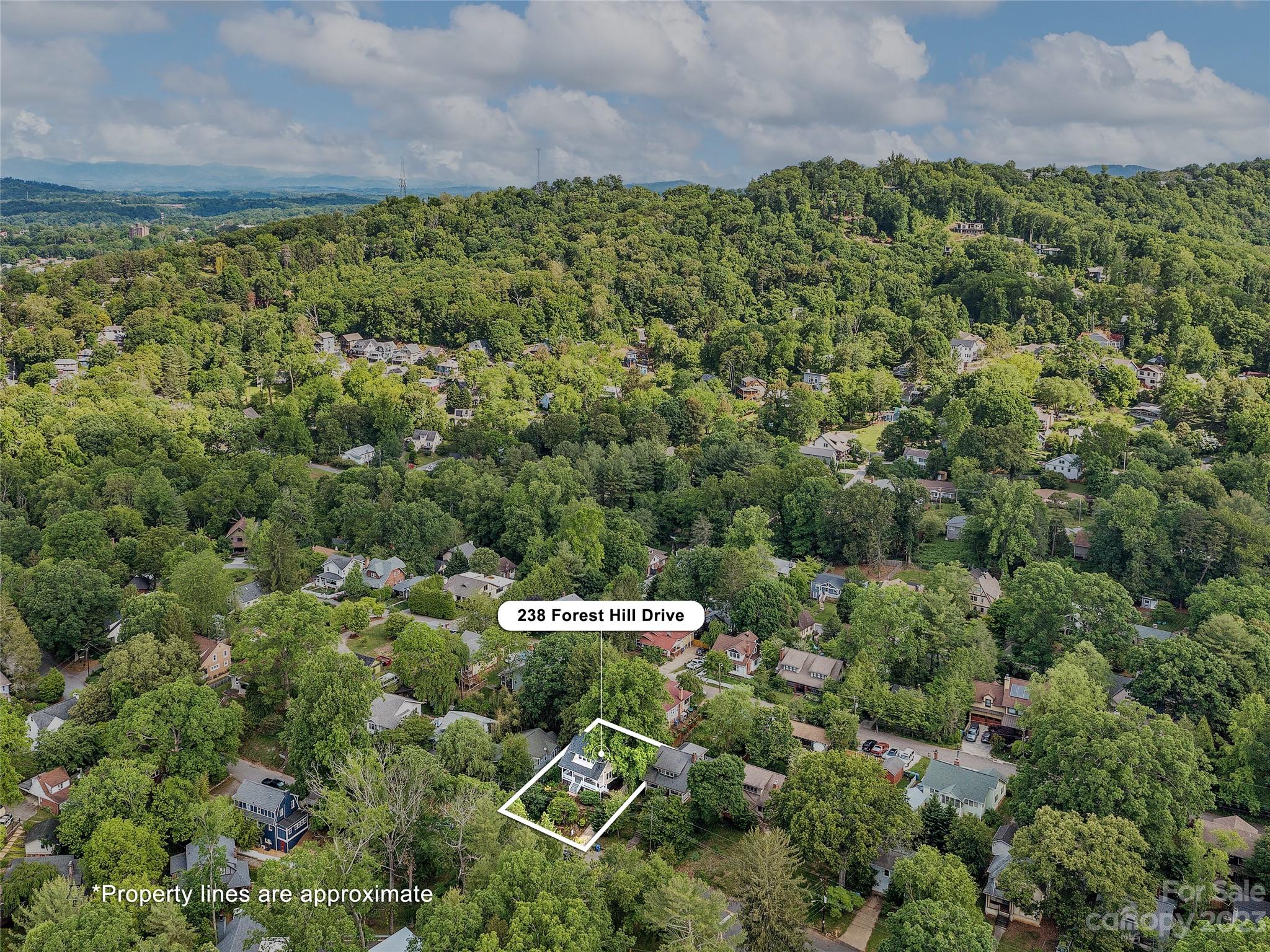 238 Forest Hill Drive