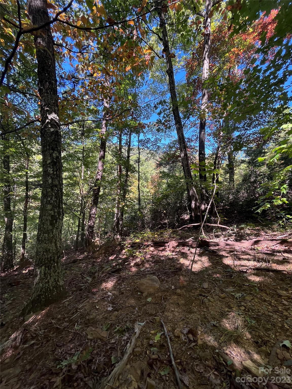 0 Doubleview Drive Unit: 8