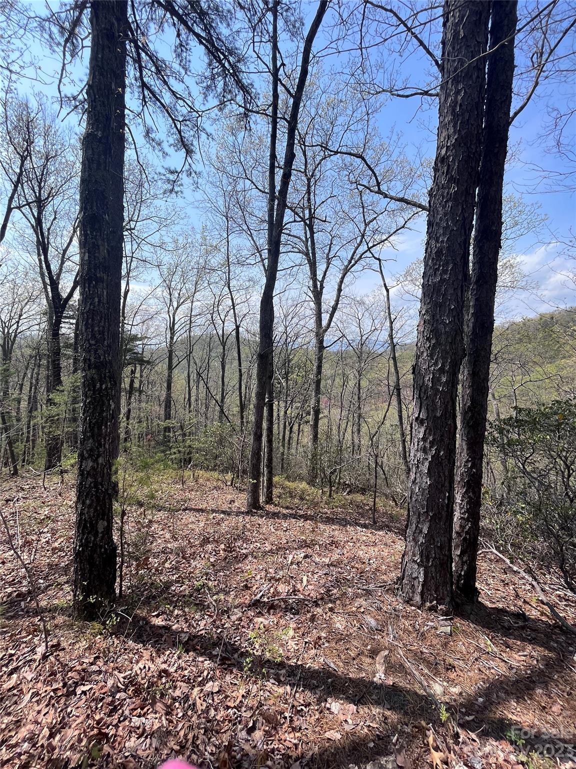 0 Doubleview Drive Unit: 8