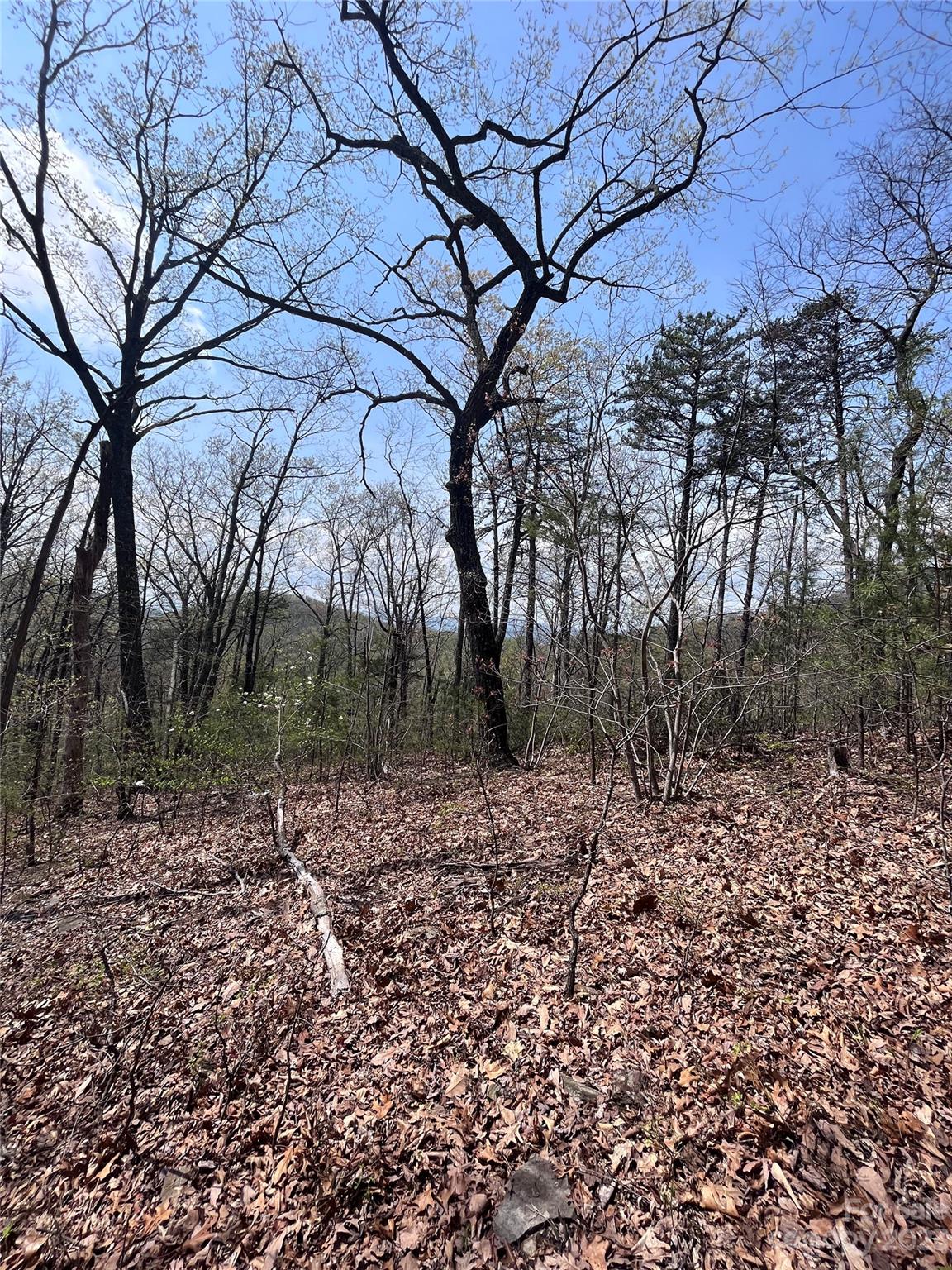 0 Doubleview Drive Unit: 8