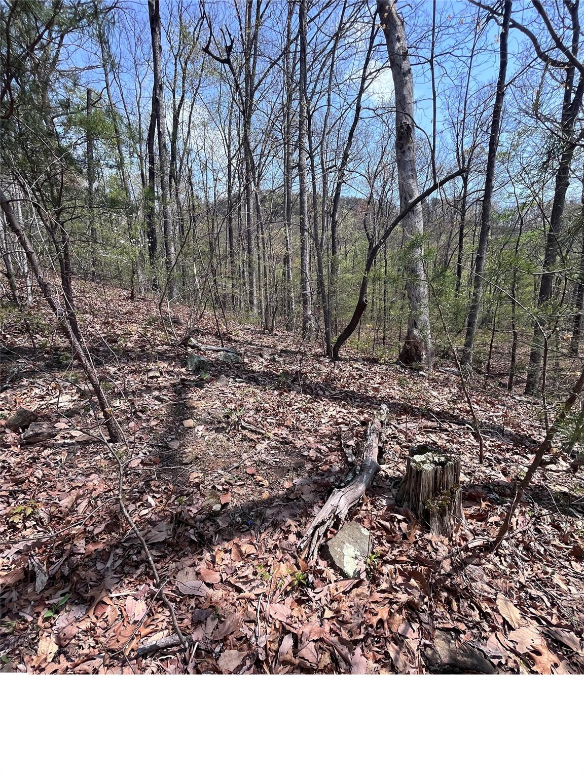 0 Doubleview Drive Unit: 8