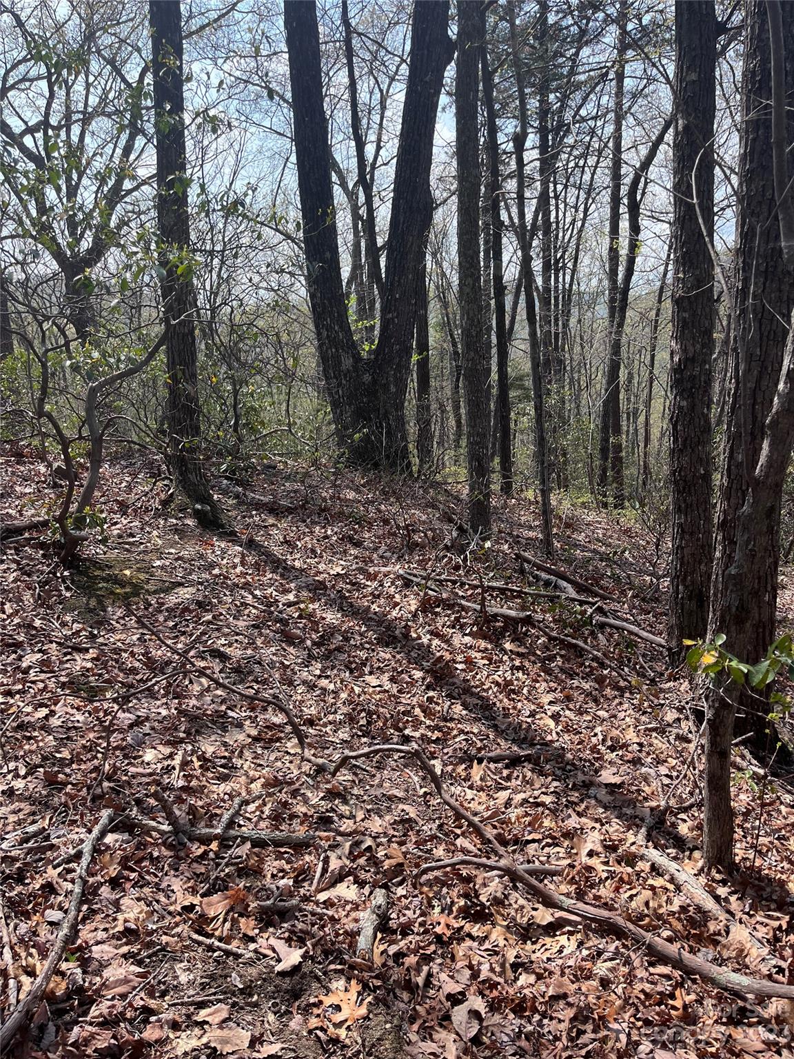 0 Doubleview Drive Unit: 8