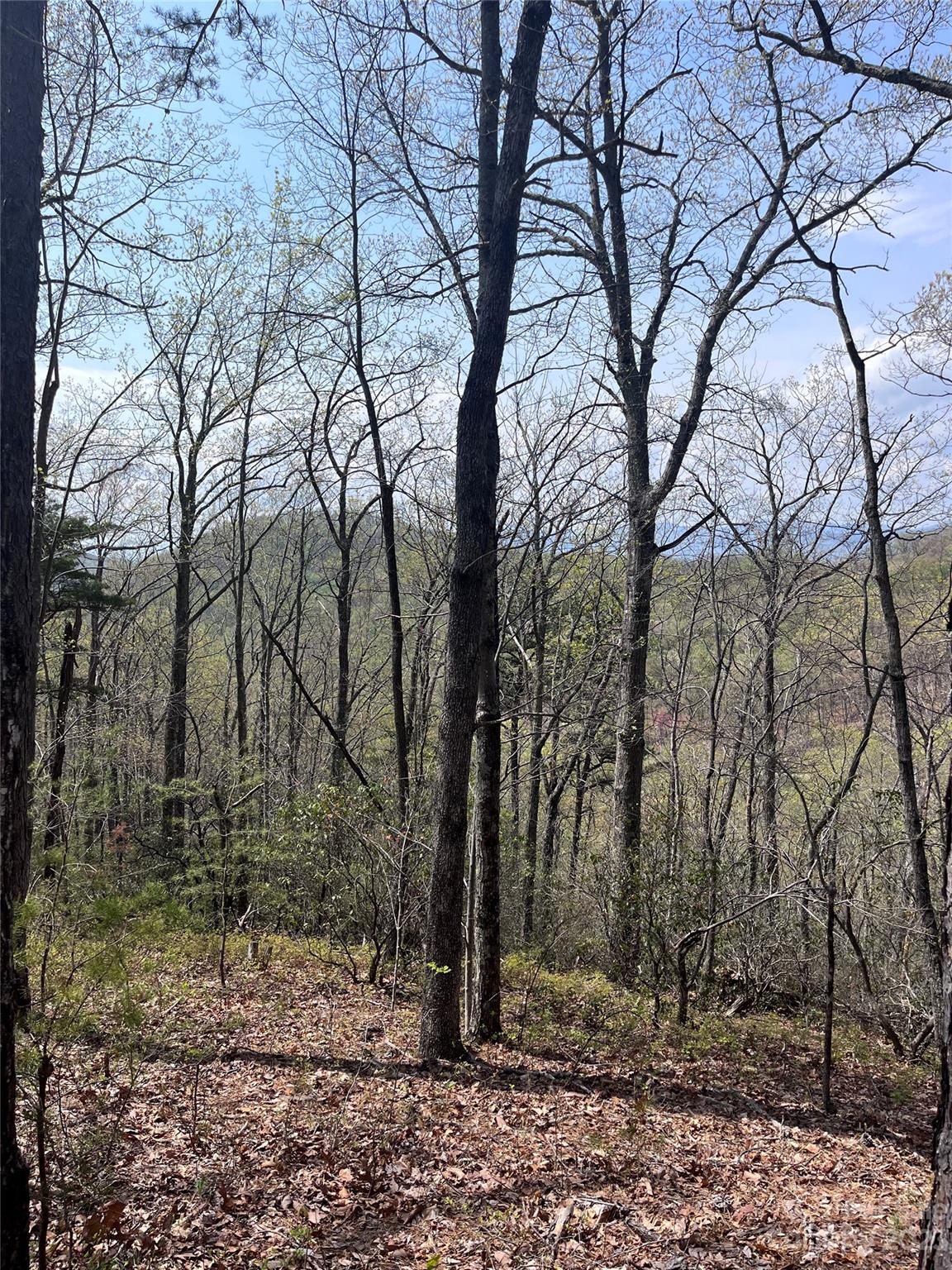 0 Doubleview Drive Unit: 8