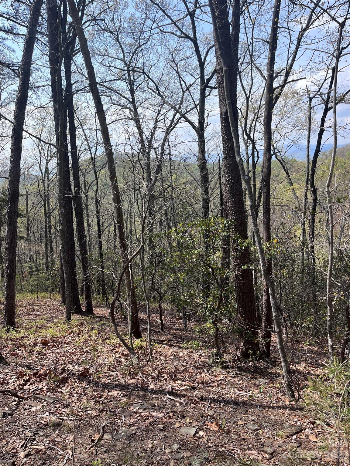 0 Doubleview Drive Unit: 8