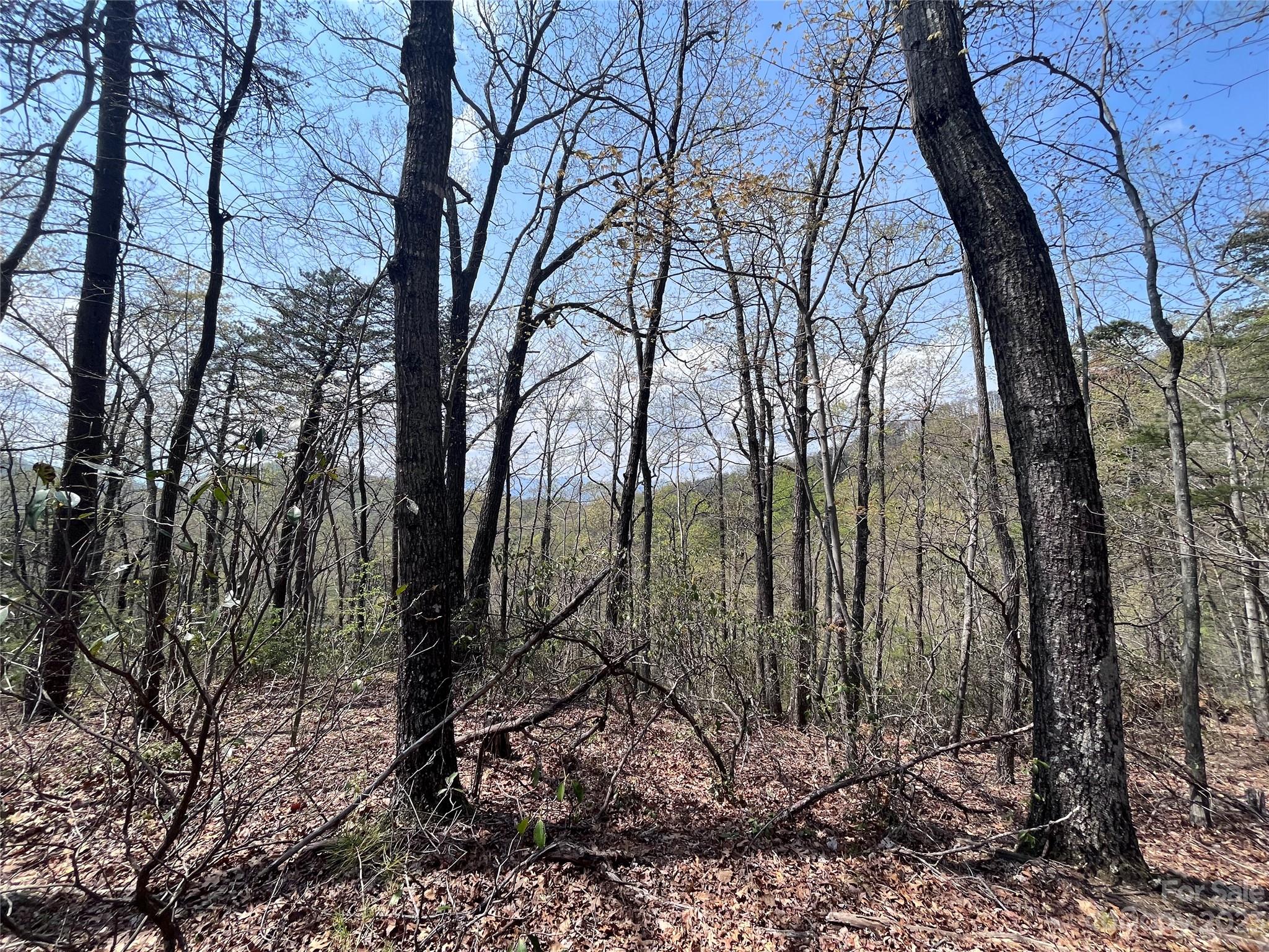 0 Doubleview Drive Unit: 8