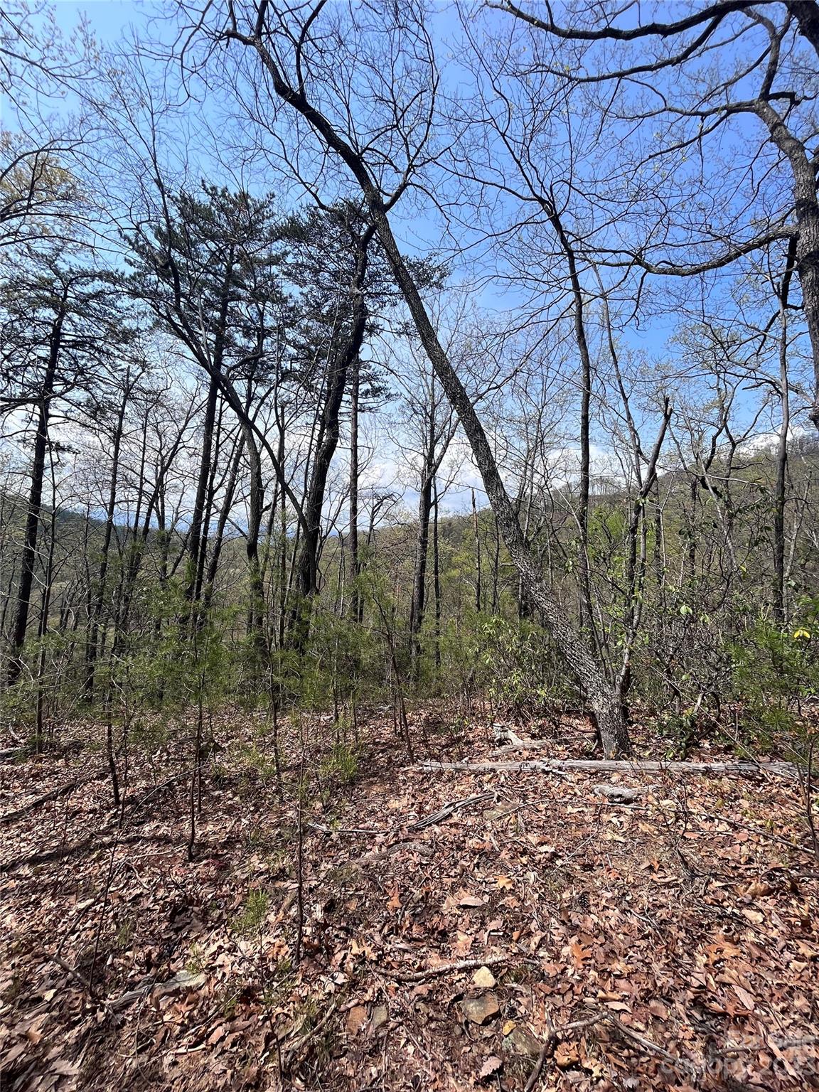 0 Doubleview Drive Unit: 8