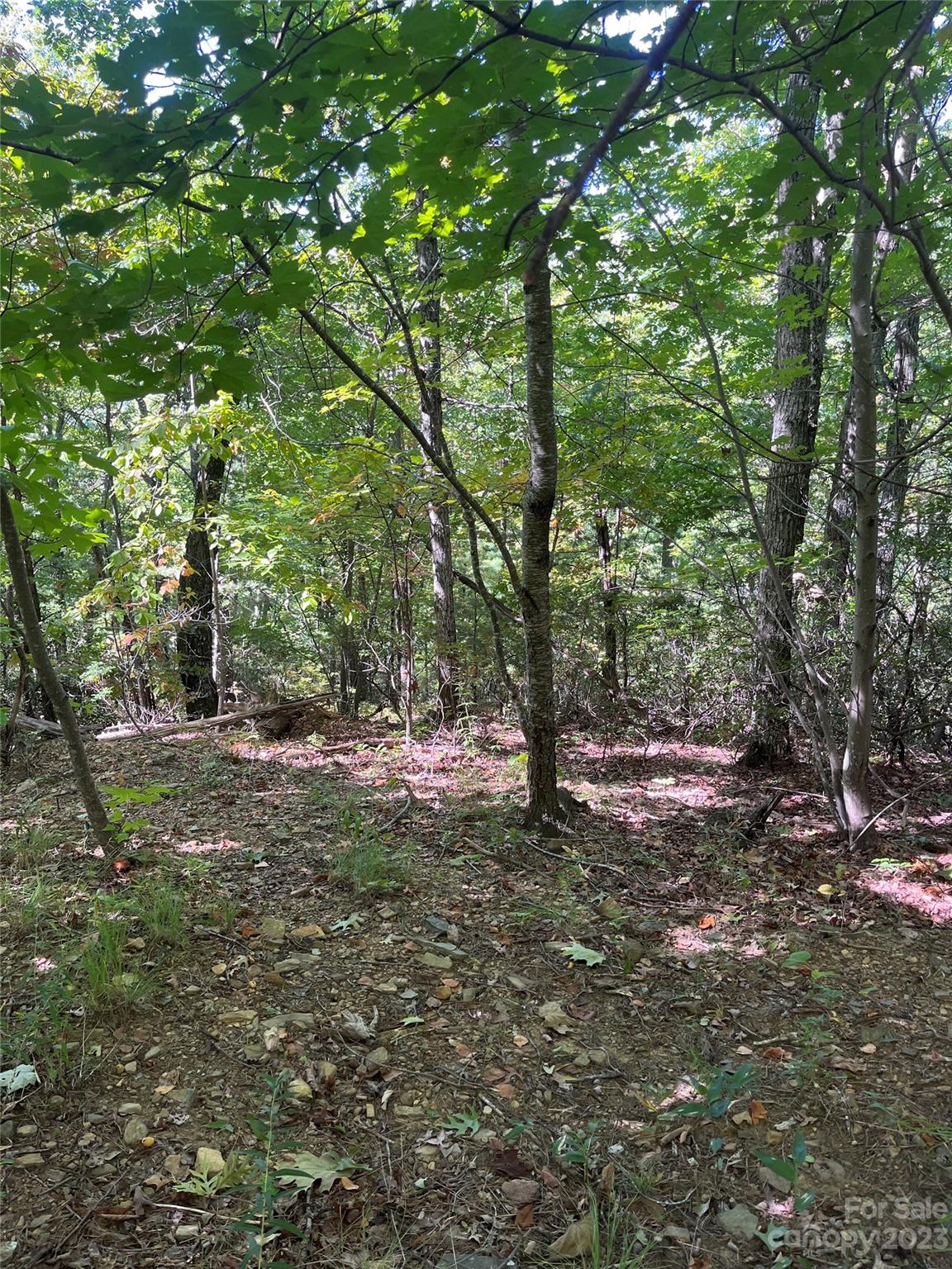 0 Doubleview Drive Unit: 8