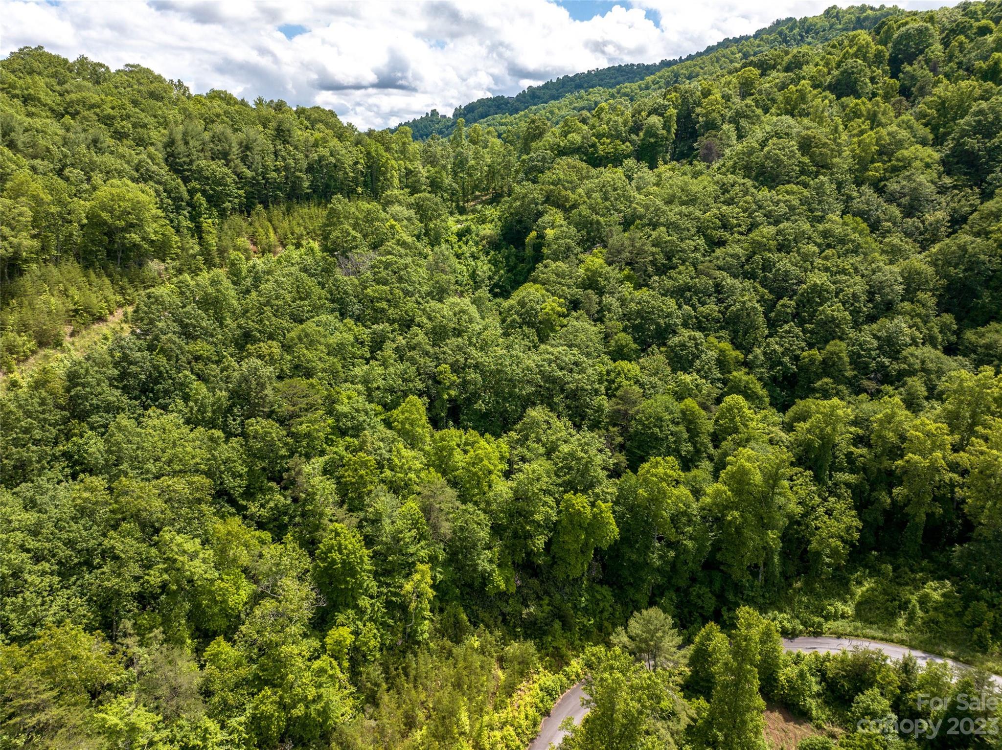 64 Mountain Magnolia Drive Unit: 51