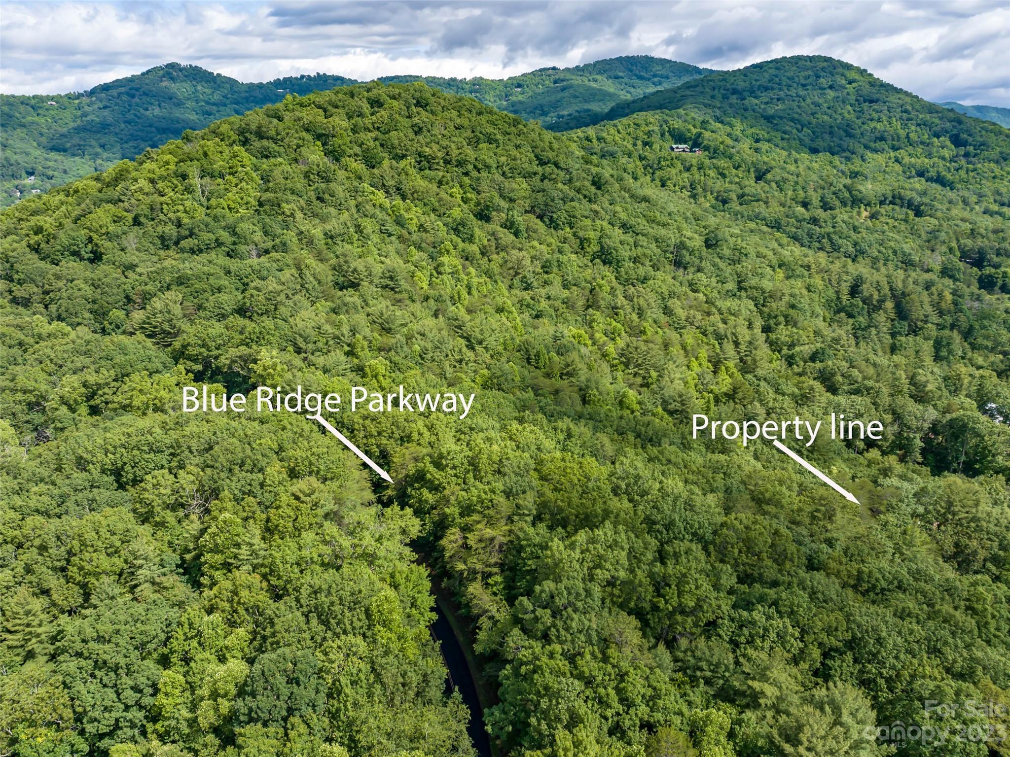 320 Upper Grassy Branch Road