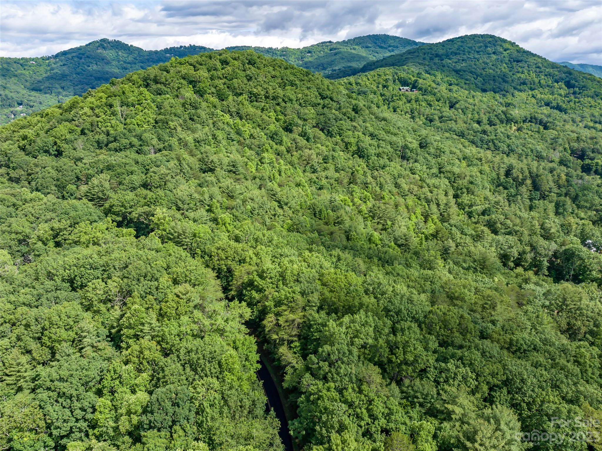 320 Upper Grassy Branch Road