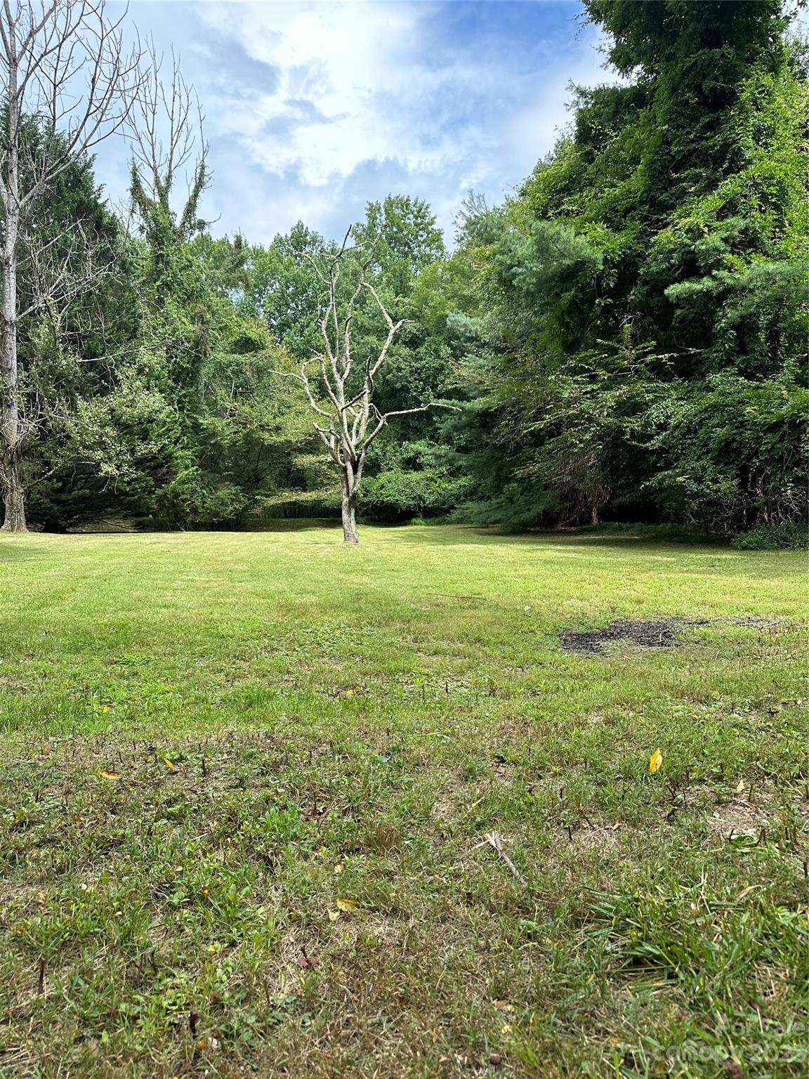 117 South Mills River Road