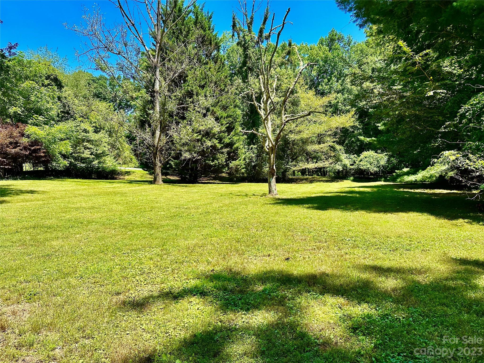 117 South Mills River Road