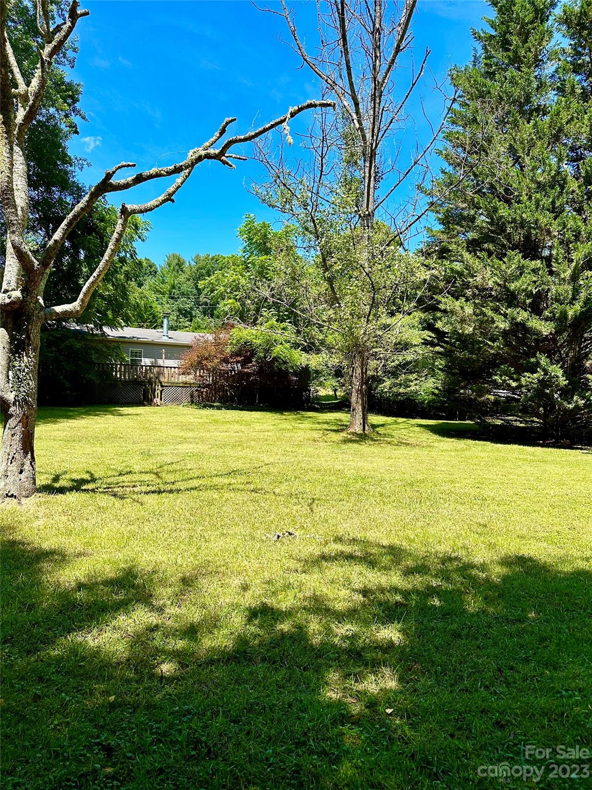 117 South Mills River Road