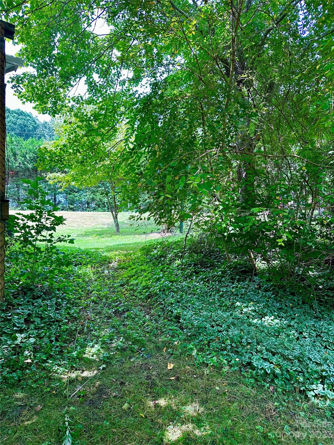 117 South Mills River Road