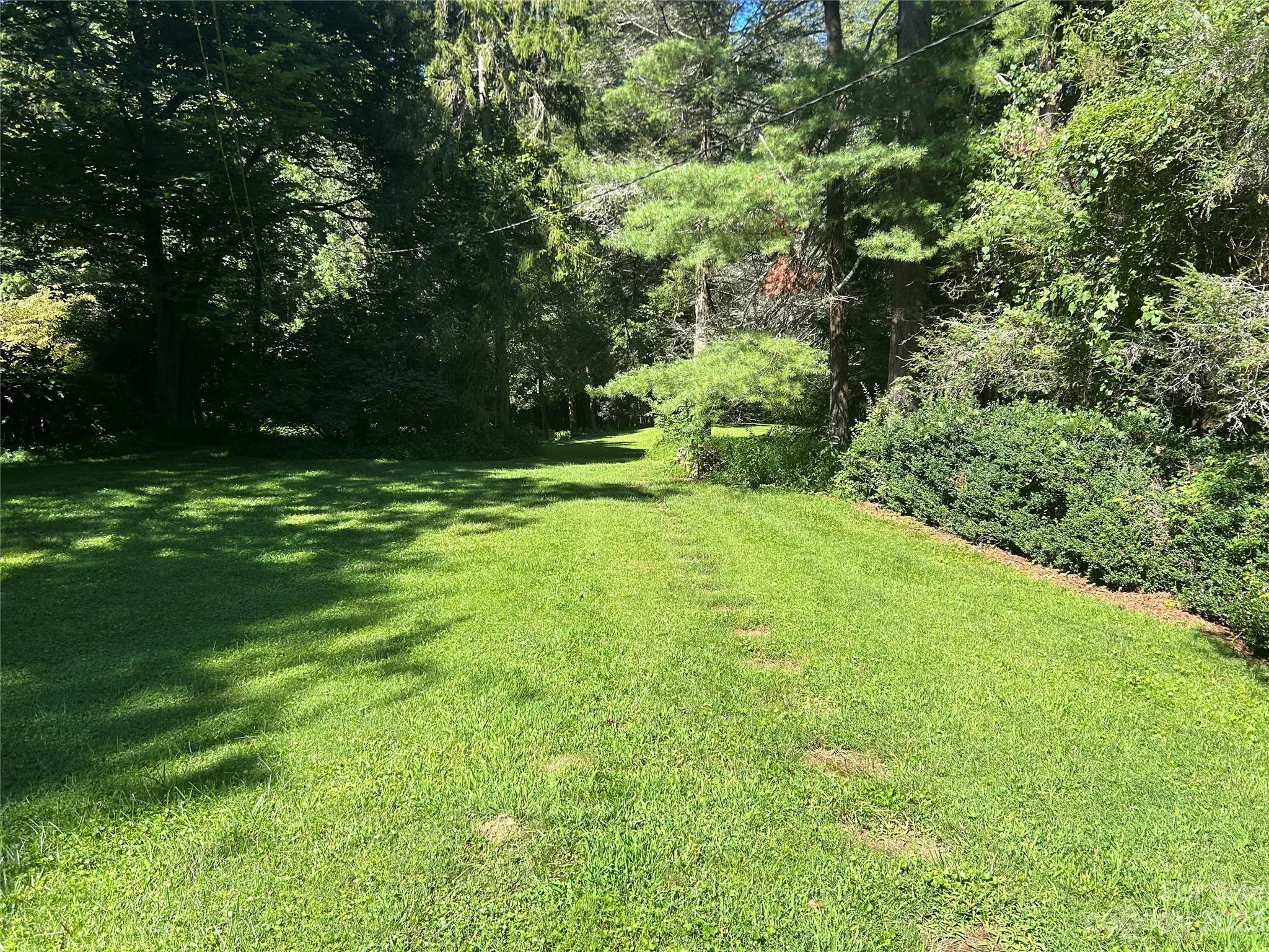 313 Vanderbilt Road