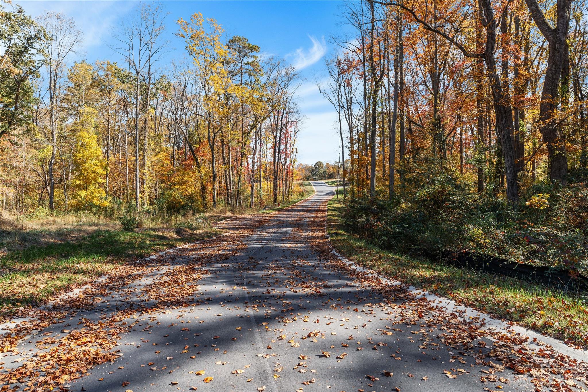 47 Scott Meadows Drive