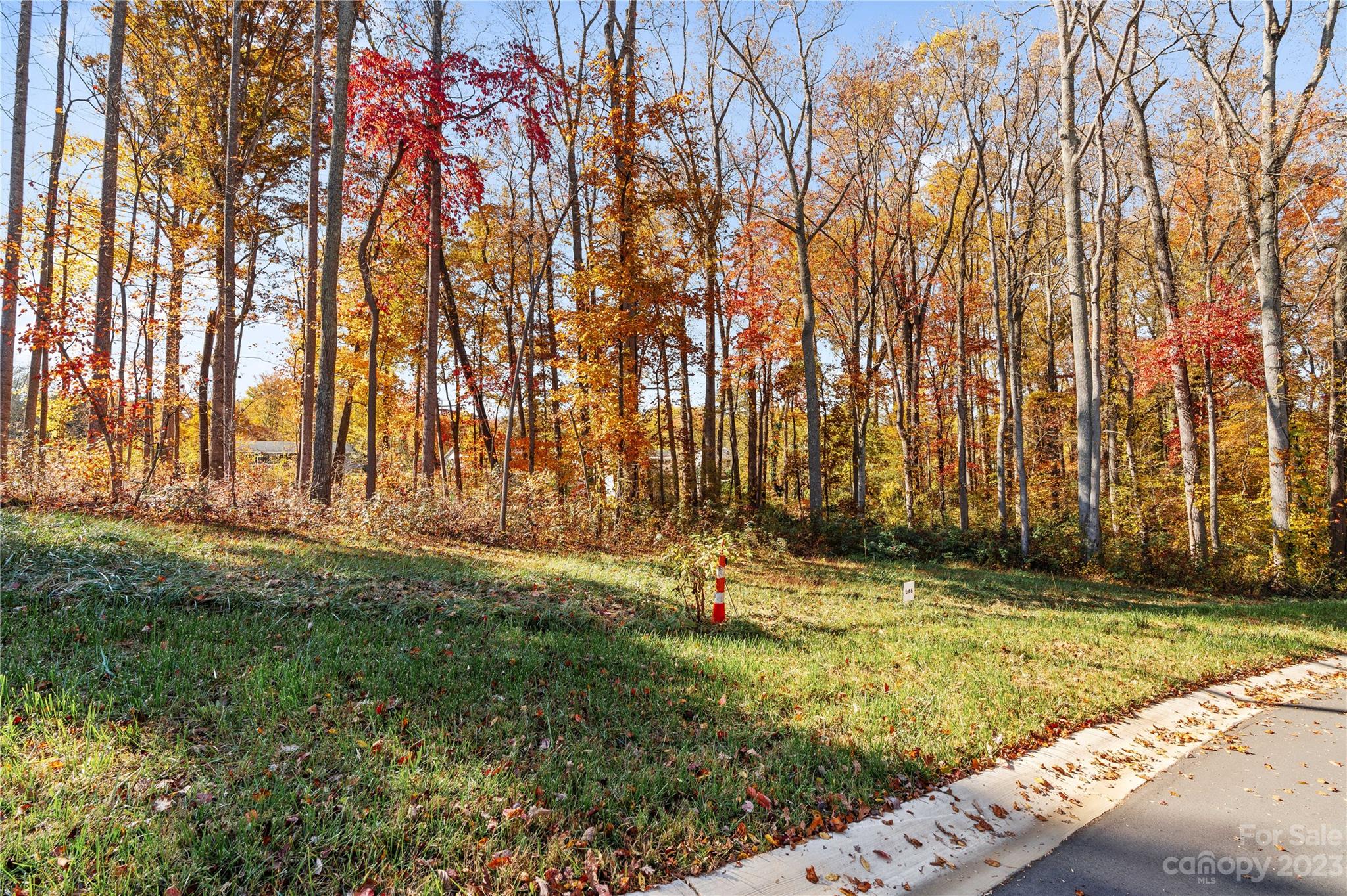 47 Scott Meadows Drive