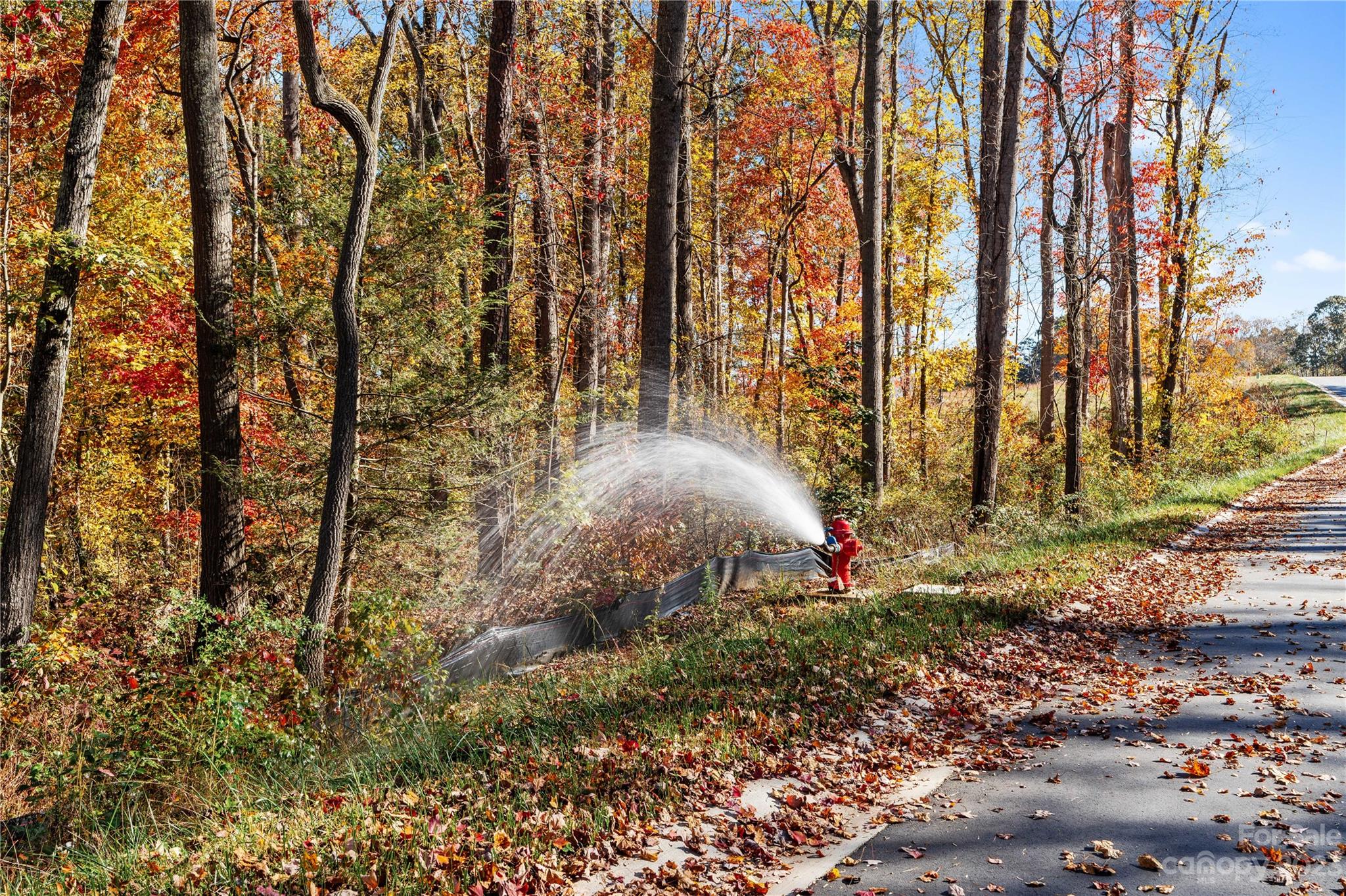 47 Scott Meadows Drive