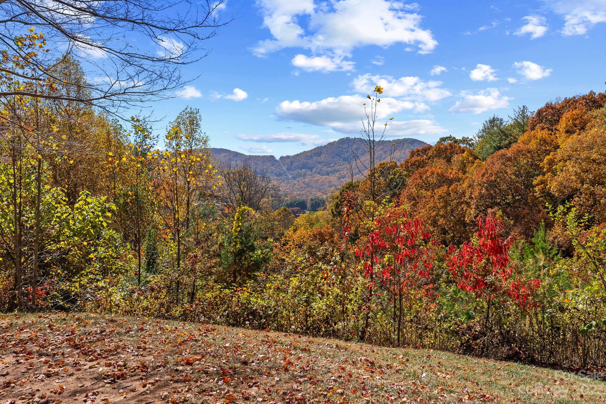 1000 Olde Eastwood Village Boulevard