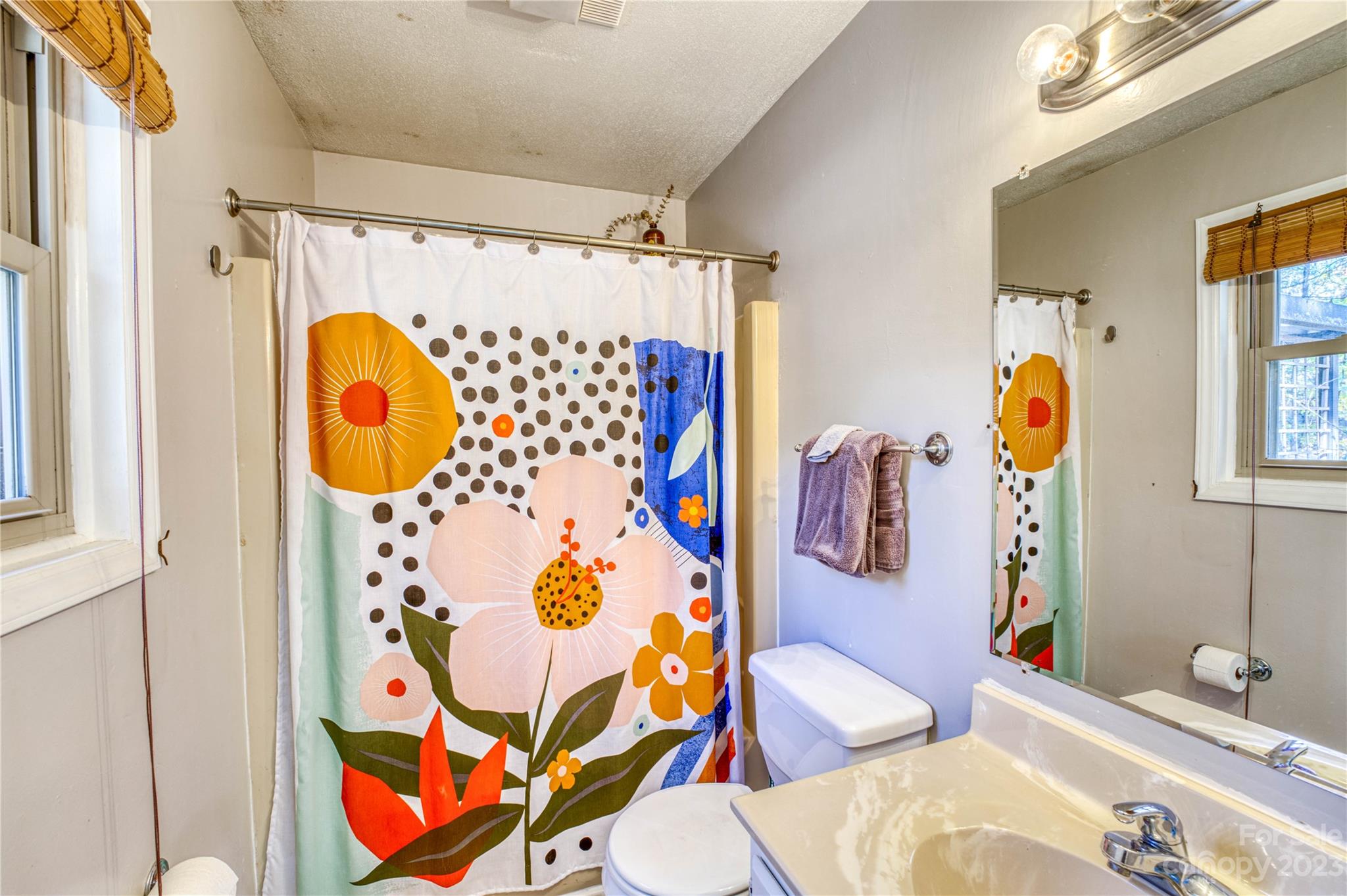 225 Stonebrook Drive