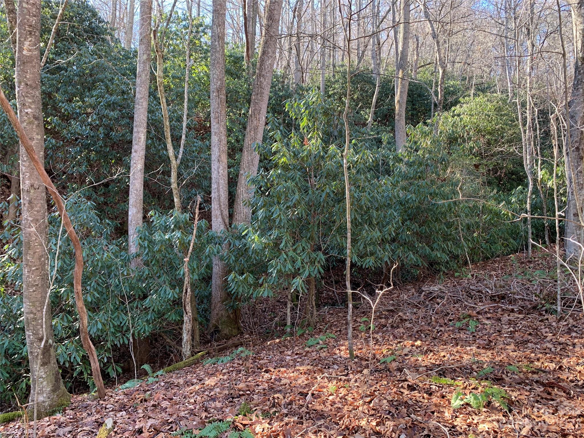 TBD Pleasant Grove Church Road Unit: 2