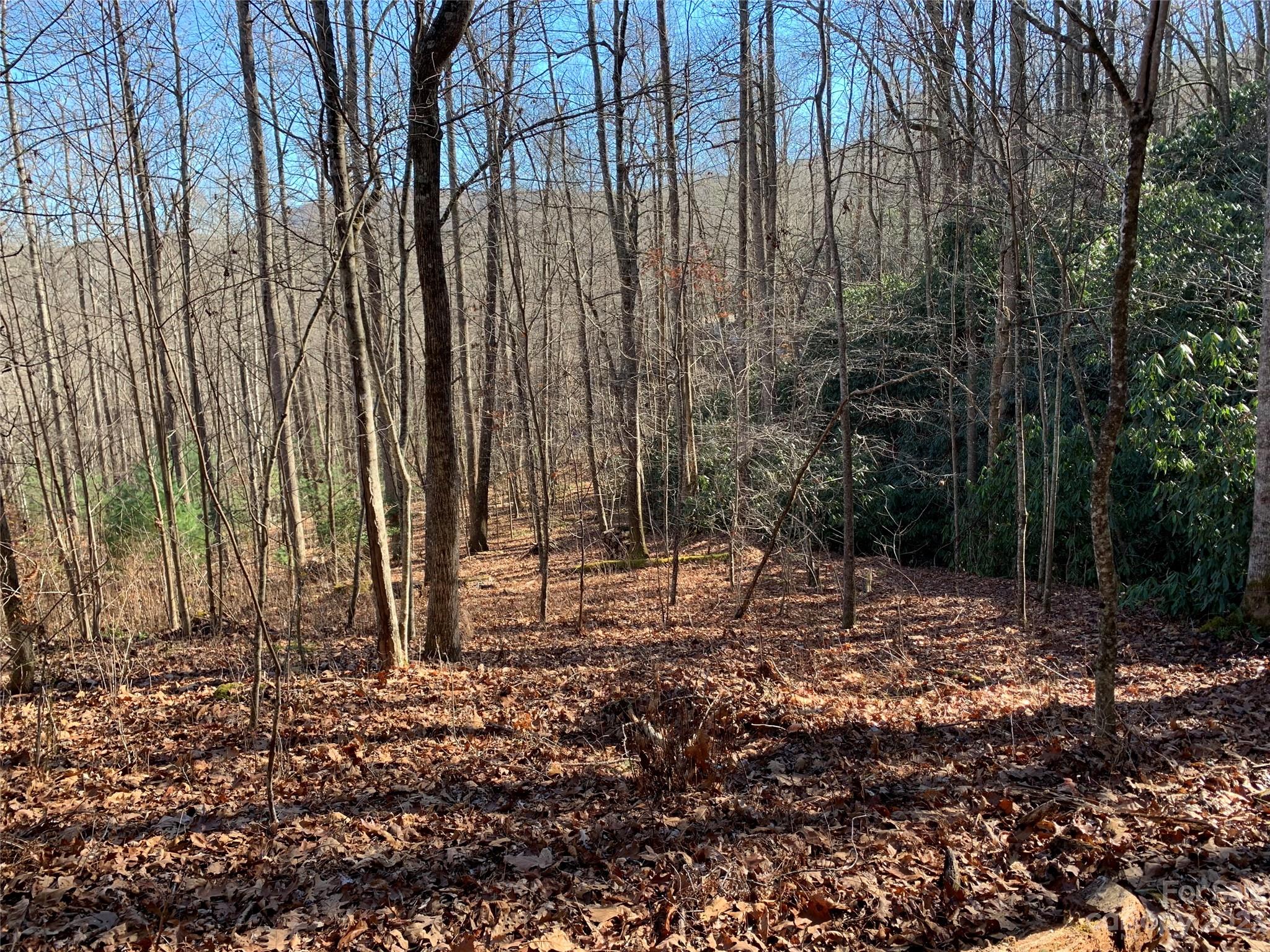 TBD Pleasant Grove Church Road Unit: 2
