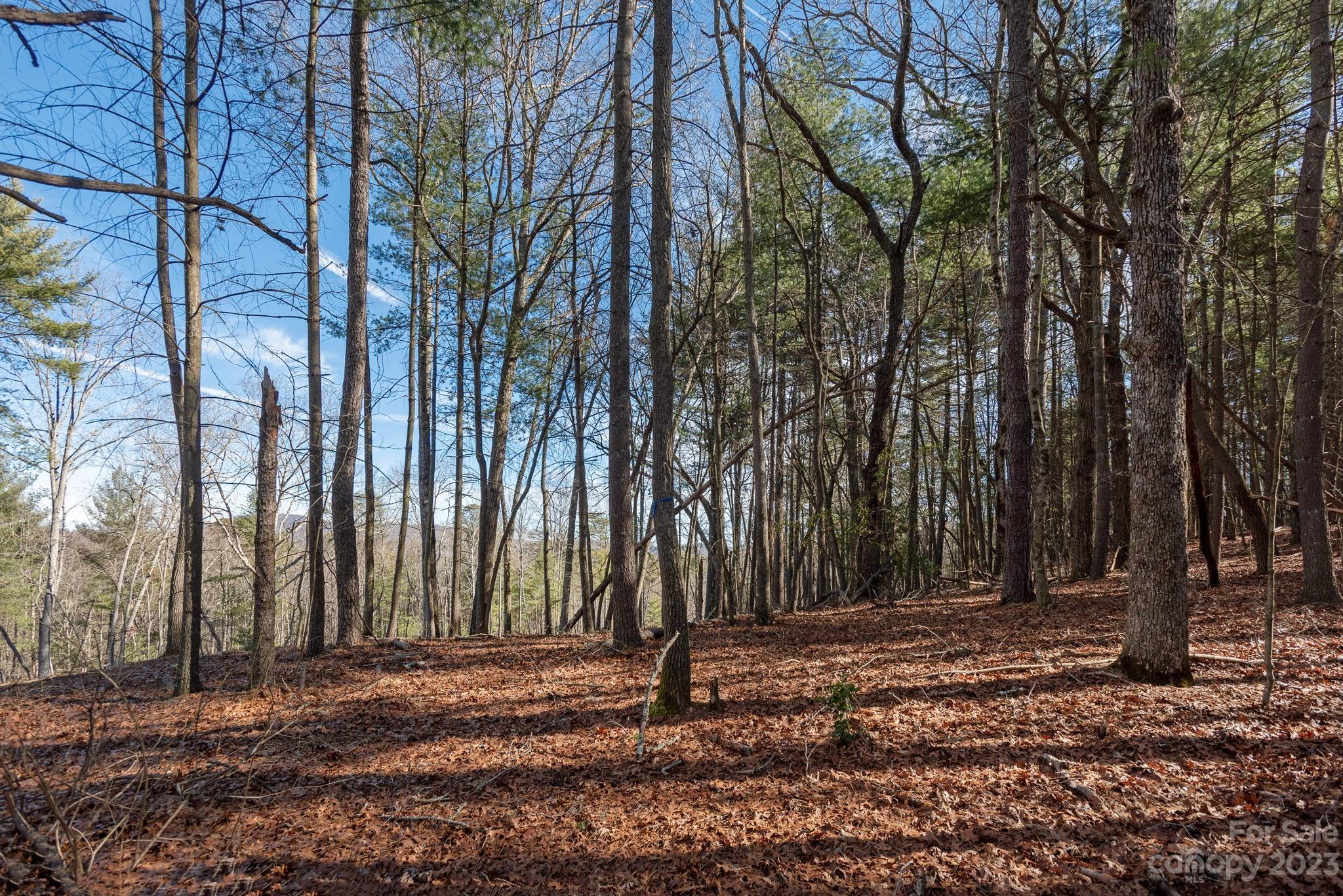 Lot #5 Northview Drive