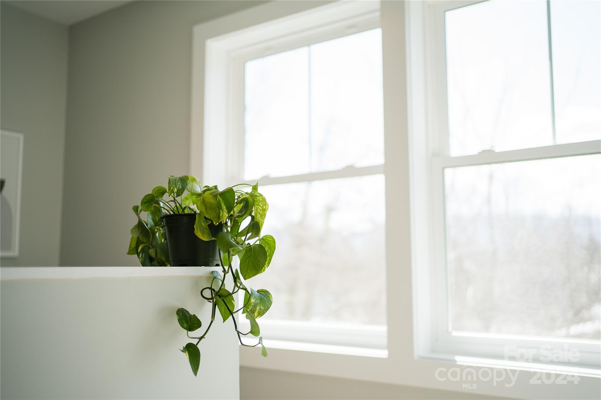 7 Mountain View Avenue