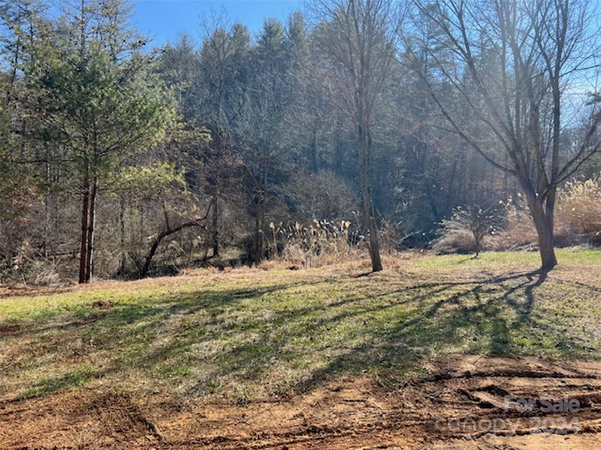 96 Old Burnsville Road