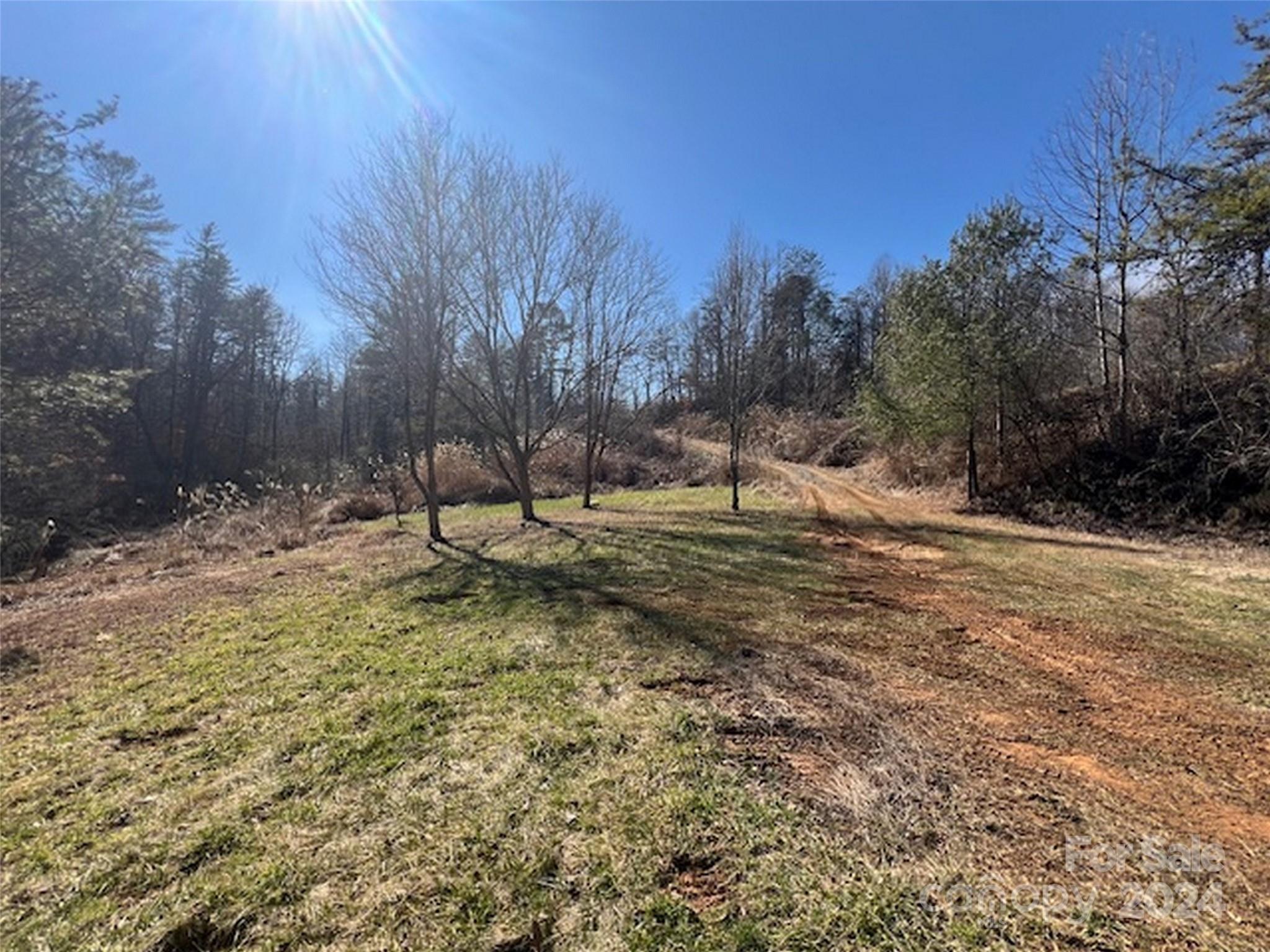 96 Old Burnsville Road
