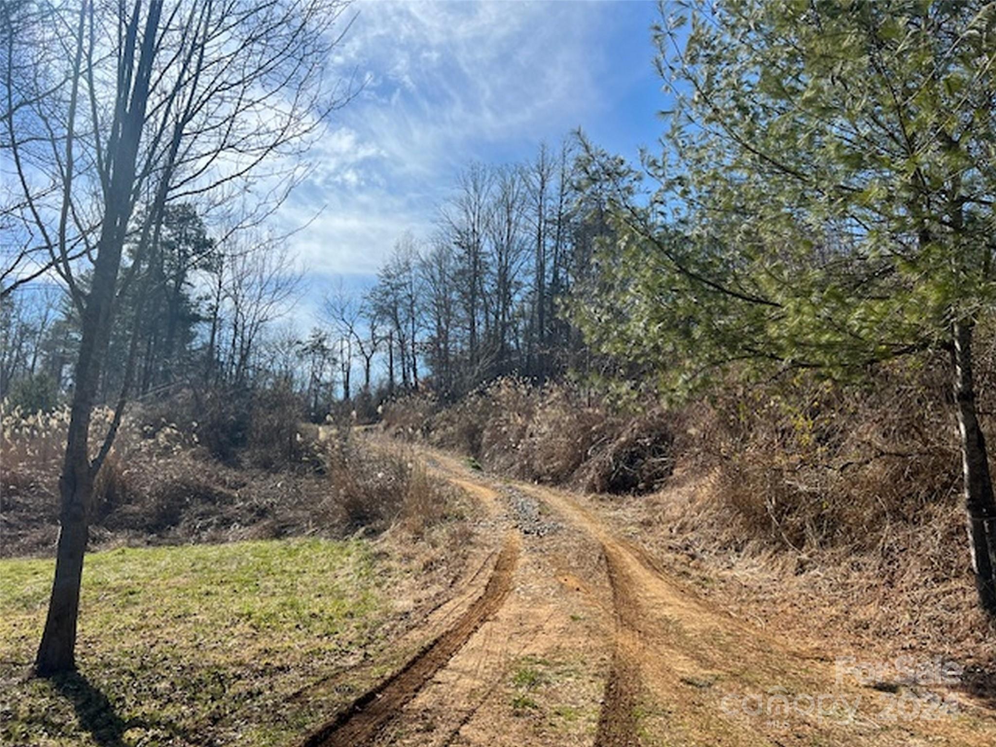 96 Old Burnsville Road