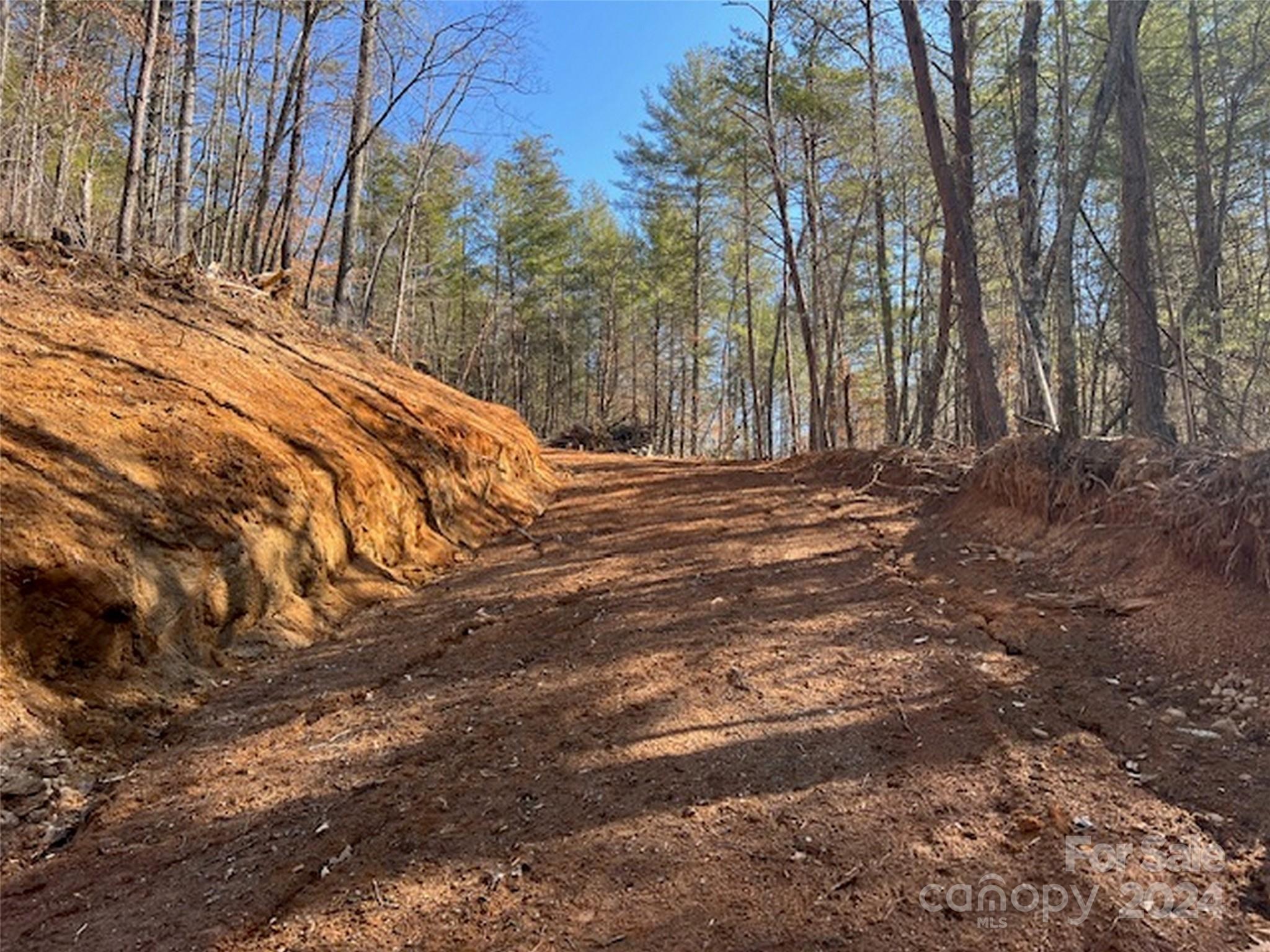 96 Old Burnsville Road