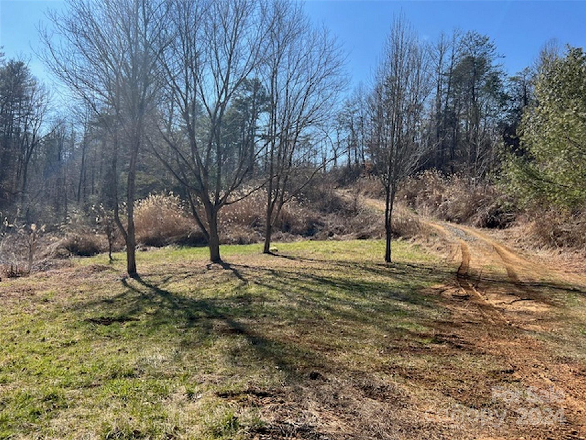 96 Old Burnsville Road